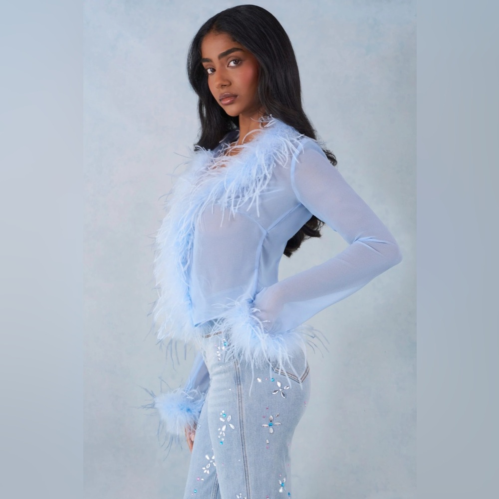 Oh Polly Feather Trim Sheer Top in Soft Blue - Picture 3 of 3